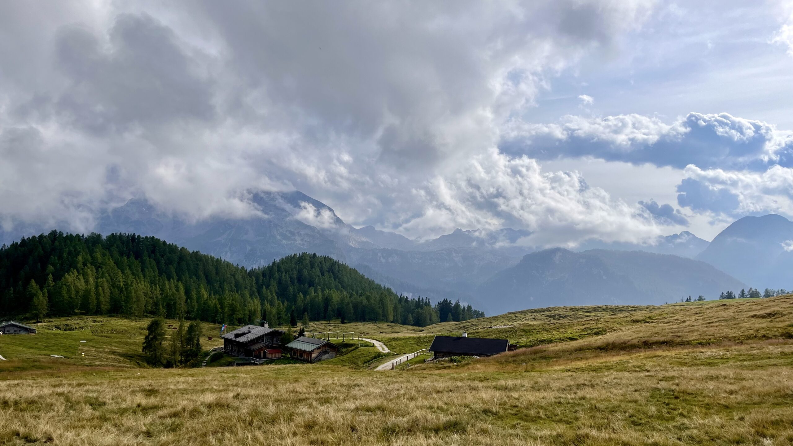 Auf dem Jenner: Gotzenalm